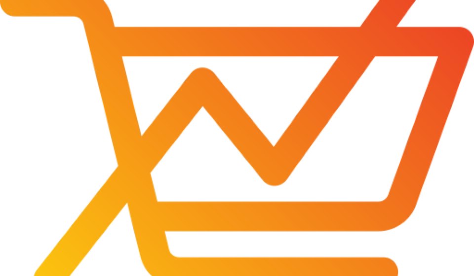 E-commerce PPC management for online shops by Israr Ads